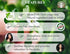 Centella asiatica Powder 50 Gm I Known as Gotu Kola, brahmi I Mandupakarni Powder I Non GMO I Gluten Free I Vegan