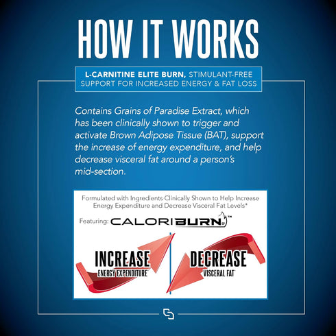 Siren Labs L-Carnitine Elite Burn Liquid Keto Fat Burner, 3000mg, Strawberry Blast