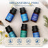 Set, 6 10ml Essential Oil Blended Essential Oils for Diffusers for Home Candle & Soap Making, Scented Voyage with Six