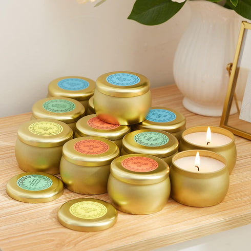 Tuyai Set, 12 Pack 4 oz Scented Candles Gift Natural Soy Wax Single tin for Family Gatherings, Festive Candles