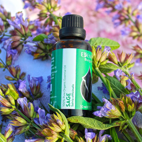 Set "Bliss" Organic Essential Oils, Rosemary + Sage + Lavender, 100% Pure and Natural, 3 pcs x 10 ml