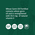 Standard Process Wheat Germ Oil Fortified - 80 Softgels for Antioxidant and Immune Support with Vitamin E