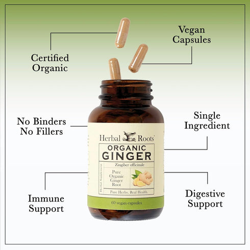Herbal Roots Ginger Supplement | Organic Ginger Root Capsules | 1,200 mg Pure Ginger Powder per Serving, 60 Vegan