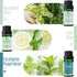 Set, Fragrance Oil, MitFlor Hotel and Mint Fragrance Oils Soap Candle Making Scents, Essential Oils for Diffusers