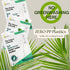 Floss Picks (6 Pack, 300 Pieces) Reusable Eco-Friendly Natural Bamboo Tooth Picks Flossers for Oral Care