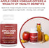 Paleovalley Apple Cider Vinegar Complex - Superfoods Turmeric, Ginger, Ceylon Cinnamon, 84 Vegetable Capsules