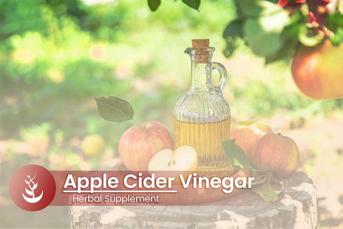 Pure Original Ingredients Apple Cider Vinegar, 100 Capsules, Pure, Lab Verified