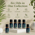 PURSONIC Pet Friendly Aromatherapy Essential Oils Collection, 6-Count - Safe for Dogs and Cats, Natural Relaxation and Stress Relief