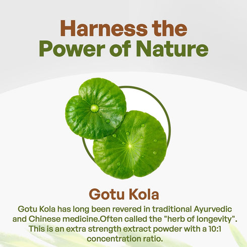 Gotu Kola 10:1 Extract Powder (8 oz) - Centella Asiatica, Gluten Free, Non-GMO Ayurvedic Herbal Supplement