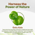 Gotu Kola 10:1 Extract Powder (8 oz) - Centella Asiatica, Gluten Free, Non-GMO Ayurvedic Herbal Supplement