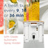 Glade Automatic Spray Refill, 6.2 Oz, Air Freshener for Home and Bathroom, Joyful Citrus & Daisies