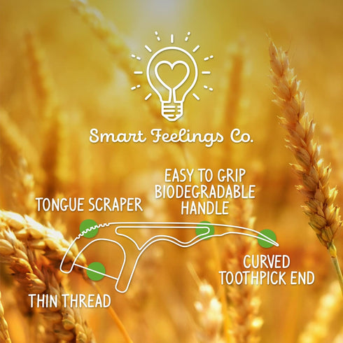 Smart Feelings Co. 100 Count 2 Packs Biodegradable Dental Floss Picks | Eco-Friendly Bamboo Like Straw Wheat