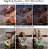 Sunrise Alarm Clock and Sound Machine Nightlight Adjustable Brightness, Rechargeable Wake Up Light Digital, Sleep