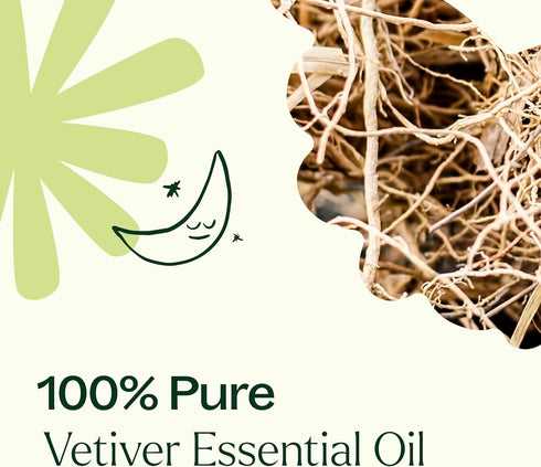 Plant Therapy Vetiver Essential Oil, 100% Pure, Undiluted, 10 mL (1/3 oz)