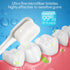 Soft Toothbrush for Sensitive Gums, Ultra Fine Brush for Adults, Pregnant, Elderly, Green Color, Pack of 2