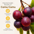 Zint Camu Camu Powder Organic - Superfood Powder, Antioxidants Source for Smoothies, Juices, Ice Creams, 3.5 oz