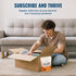 Live Conscious Immediate 90 DigestWell Support - Fast-Acting Digestive Support | Broad Spectrum Enzyme, Probiotic