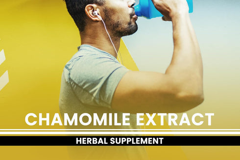 PURE ORIGINAL INGREDIENTS Chamomile Extract, 365 Capsules, No Fillers, Always Pure, Lab Verified