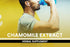 PURE ORIGINAL INGREDIENTS Chamomile Extract, 365 Capsules, No Fillers, Always Pure, Lab Verified