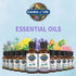 Garden of Life Essential Oil, Lavender 30 ml, USDA Organic & Pure for Diffuser, Aromatherapy, Calming, 1 Fl Oz