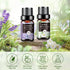Essential Oils Set - 12 Pcs Aromatherapy Essential Oil Kit for Diffuser, Humidifier, Aromatherapy, Massage, Soap, Candle Making (5mL)