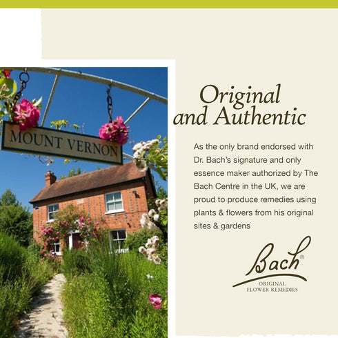 Bach Original Flower Remedies, Chestnut Bud for Learning from Mistakes, Natural Homeopathic Essence, 10mL