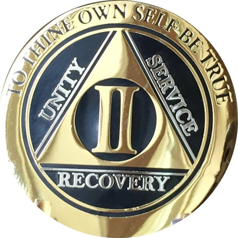 RecoveryChip 2 Year AA Medallion, Elegant Black Gold Silver Bi-Plated Alcoholics Anonymous Chip