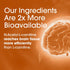 Nutrition Essentials Nootropic Brain Support Supplement, Caffeine-Free Capsules with St. John's Wort & Ginkgo Biloba