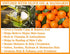 Olivia Care Bath & Body Bar Mandarin Soap 4 Pack Gift Box, Organic, Vegan & Natural, Made in USA