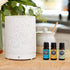 Edens Garden Essential Oil Set, 3 Best 100% Pure Aromatherapy Oils (Essential Oil)