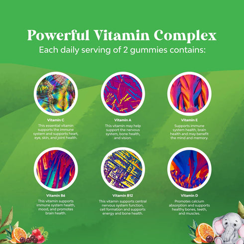 Plant Based Kids Multivitamin Gummies - Immunity Support with Vitamins A, C, D3, E, B & Zinc, Gluten Free, Non-GMO,