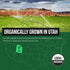 Organic Wheatgrass Juice Powder - Raw BioActive Form, Cold-Pressed, 20:1 Concentrate Juice Extract, Unflavored (5.3 oz)
