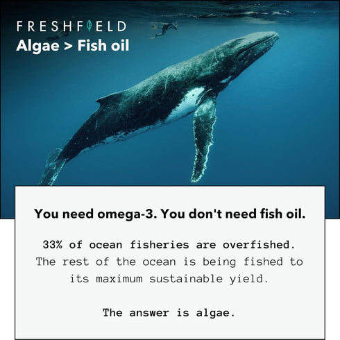 Freshfield Vegan Omega 3 DHA: Algae Oil, Plant Based Omega for Heart, Brain, Joint Health, No Heavy Metals
