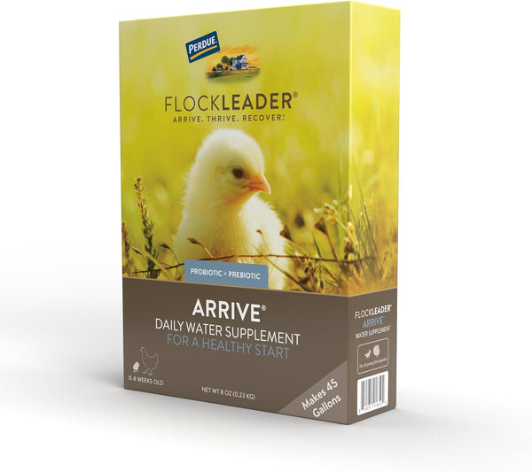 Arrive, Daily Probiotic & Prebiotic Water Supplement for Young Chickens, 0-8 Weeks Old, 8 oz