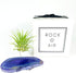 Rock n Air Purple Agate Geode Crystal Air Plant Holder Includes Healthy Air Plant and Gift Box Thoughtful Plant