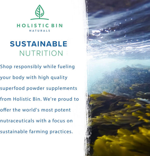 Marine Phytoplankton Powder by Holistic Bin - Vegan Omega 3 Supplement Naturally Grown in Nordic Seawater (50g)