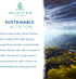 Marine Phytoplankton Powder by Holistic Bin - Vegan Omega 3 Supplement Naturally Grown in Nordic Seawater (50g)