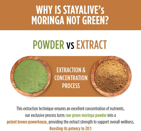 STAY ALIVE Pure Moringa Capsules, 20000mg Equivalent - 120 Vegan Moringa Pills for Immune & Digestive Support