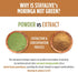 STAY ALIVE Pure Moringa Capsules, 20000mg Equivalent - 120 Vegan Moringa Pills for Immune & Digestive Support