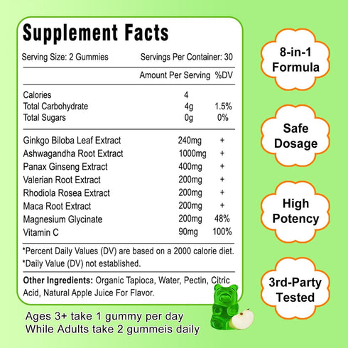 Ginkgo Biloba Gummies 2 Pack with Ginseng Maca Root & Magnesium - Organic Brain Focus Energy Mood Memory Supplements