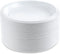 Blue Sky 100 Count Disposable Plastic Plates, White, 6-Inch
