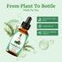 SVA Rosemary Essential Oil – 1 Fl Oz – 100% Natural for Hair, Face, Skin Care, Aromatherapy