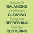 Plant Therapy Balsam Fir Essential Oil – 30 mL (1 oz) 100% Pure, Undiluted, Therapeutic Grade
