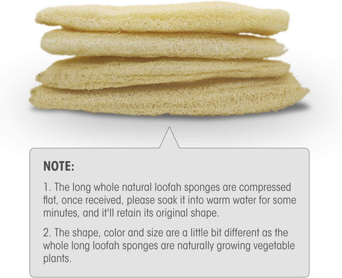 Natural Organic Large Loofah Sponges, Exfoliating Shower Bath Scrubbers for SPA Beauty, Pack of 4