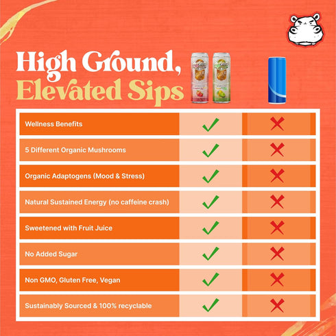 Pack 12oz 6 Pack High Ground Elixir Mushroom Seltzer Variety | Lions Mane for Focus, Reishi for Stress, Cordyceps