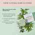 Kitsch Tea Tree & Mint Shampoo Bar - Anti Dandruff Shampoo for Itchy Scalp, Vegan Hair Care, 3.2oz