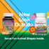 Natures Plus Animal Parade Sugar-Free Children's Multivitamin, Assorted Flavors, Pack of 2, 90 Chewable Tablets