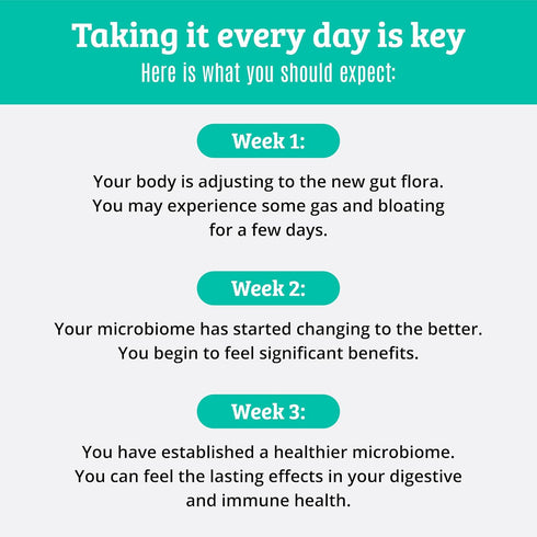 Prebiotics and Probiotics: Lactobacillus Gasseri, Rhamnosus, Plantarum, Casei, Bifidobacterium longum, lactis, infantis