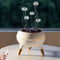 ZTDIXF Dynamic Aromatherapy Diffuser 250ml Essential Oil Cool Mist Humidifier with Jellyfish Mist