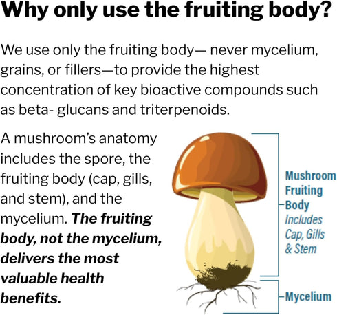 Immune 60 Kyolic Mushrooms+ - Mushroom & Herbal Dietary Supplement - Wellness & Energy Support* - Chaga, Cordyceps